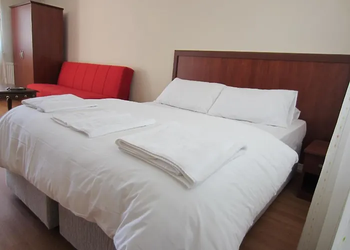 Flamingo Apart 公寓式酒店