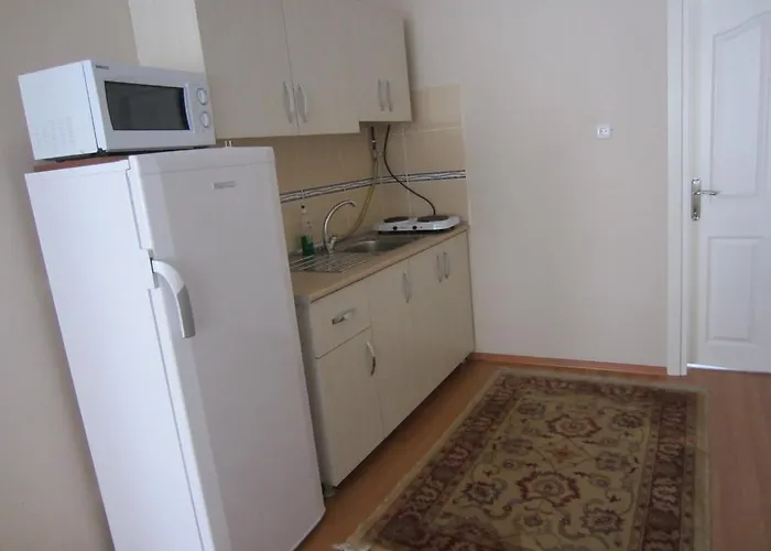 Flamingo Apart 公寓式酒店 3*