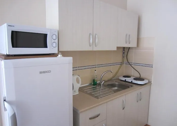 公寓式酒店 Flamingo Apart