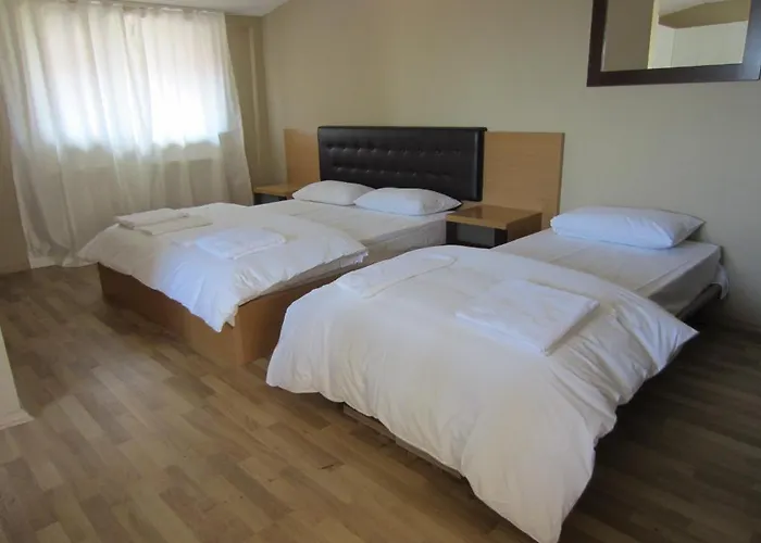 Flamingo Apart 公寓式酒店