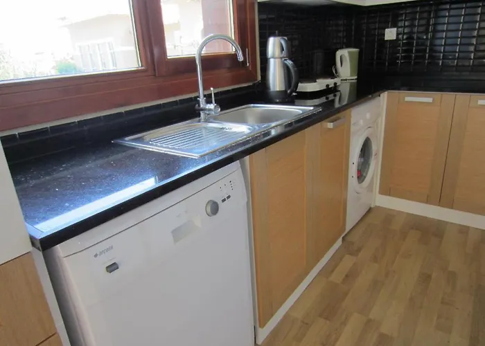 公寓式酒店 Flamingo Apart