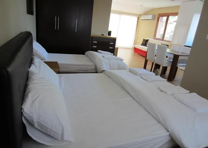 公寓式酒店 Flamingo Apart