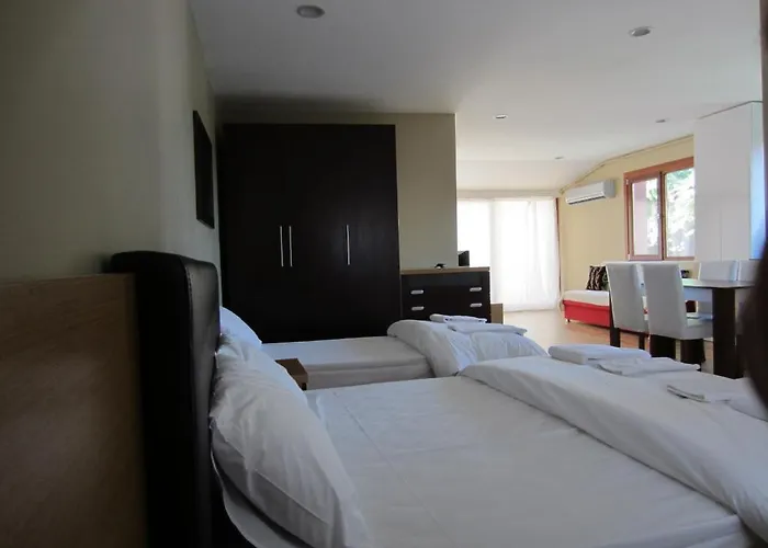 公寓式酒店 Flamingo Apart 3*