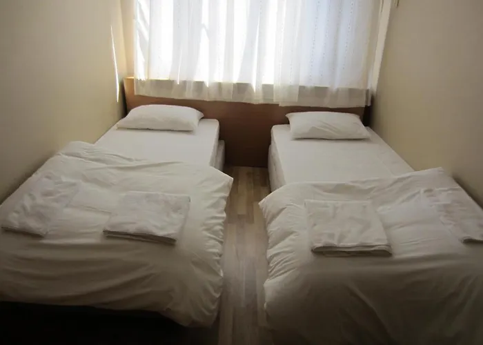 公寓式酒店 Flamingo Apart