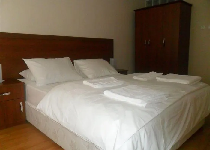 Flamingo Apart 公寓式酒店