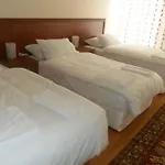 Flamingo Apart