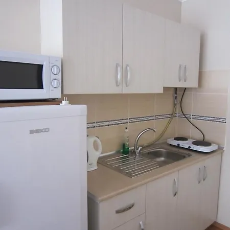 Ξενοδοχείο με διαμερίσματα Flamingo Apart